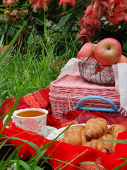 Summertime picnic setting on the grass with open picnic basket, fruit, croissants, books