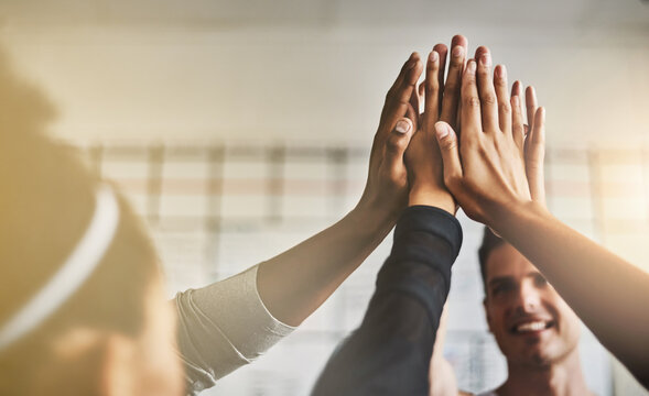 Hands, high five and teamwork of people in gym for fitness, team building and solidarity. Collaboration, group of friends and celebration for exercise targets, goals or support, motivation or success