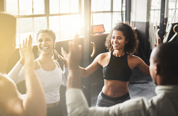 High five, funny and teamwork of friends in gym for fitness, team building and solidarity. Collaboration, group of people and celebration for exercise targets, goals or support, motivation or success