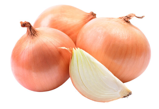 Fresh onion isolated