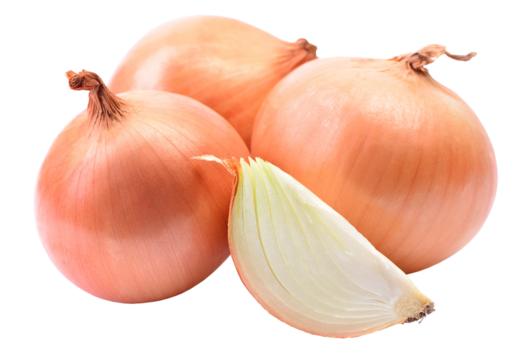 Fresh onion isolated