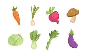 Vegetables collection set symbol cartoon illustration vector