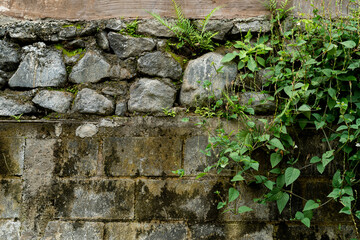 old stone wall with moss