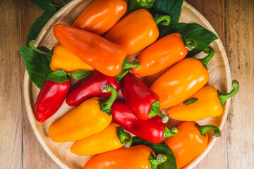 Mixed Color Sweet bite Peppers  or Bell pepper on wooden  background.