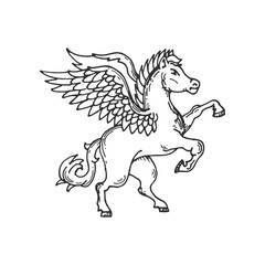 Naklejka na ściany i meble Pegasus medieval heraldic animal sketch of vector winged horse. Royal heraldry of antique kingdom, coat of arms, insignia or crest element of hand drawn flying pegasus horse with feather wings