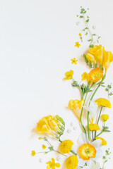 yellow flowers  on yellow paper background