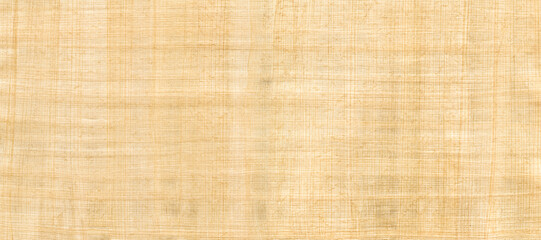 Old papyrus background texture. Banner wallpaper