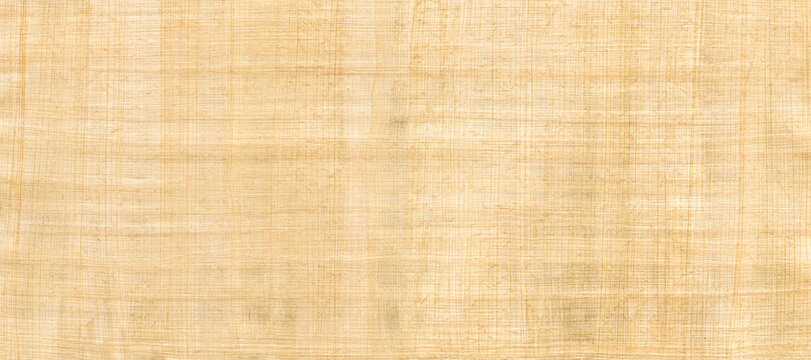 Old papyrus background texture. Banner wallpaper