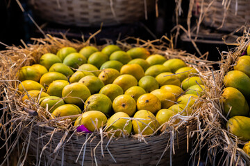 Kokosnuss, Mango, Bananen, Früchte auf dem Marktplatz 