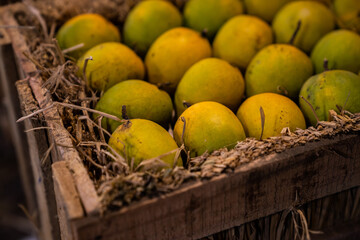 Kokosnuss, Mango, Bananen, Früchte auf dem Marktplatz 