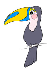 color flat illustration sketch tropical bird toucan cartoon childish style design element postcard sticker print and media