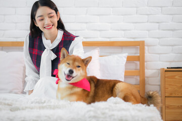 Beautiful asian woman smiling and looking at happy Shiba Inu dog on bed in bedroom