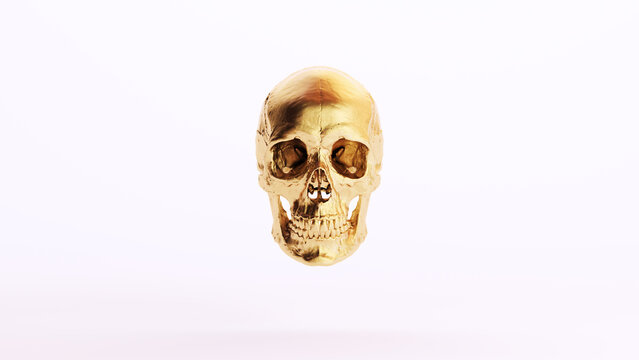 Gold Golden Skull Human Jaw Art Wealth White Background 3d illustration render digital rendering