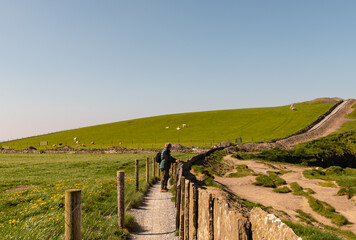 Ireland's Breathtaking Cliff Walk with Rustic Fence