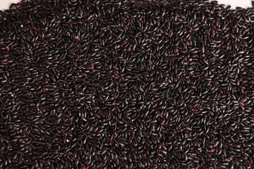 Chinese black rice, whole grain, close up indoors
