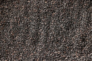 Black sesame seeds, a lot, close-up, indoors