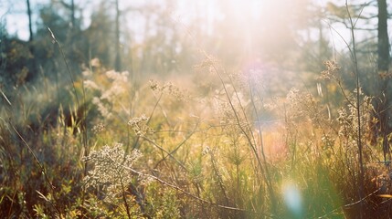  the sun shines through the trees in the forest with tall grass.  generative ai