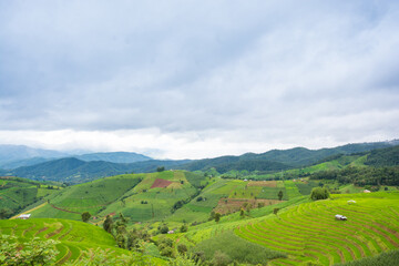 Fototapeta na wymiar Green Terraced Rice Field, green rice fields in the countryside in Chiang Mai, Thailand.