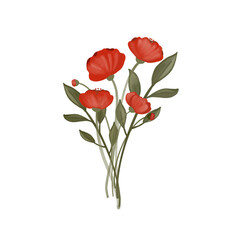 Obraz premium poppy flower
