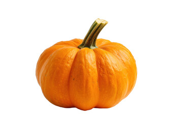 stock photo of fresh Pumpkin on white isolated PNG object