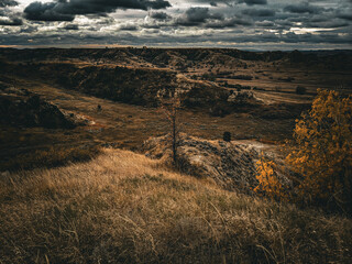 Theodore Roosevelt National Park