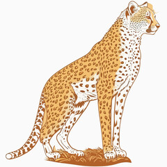Sticker Cheetah white outline. flat vector illustration