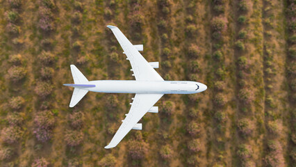 plane flies above the landscape. Side view of aircraft. Travel and transportation concept.