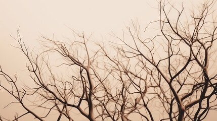  a tree with no leaves is shown against a gray sky.  generative ai