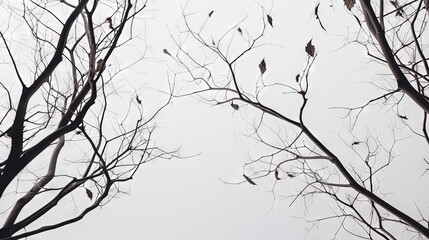  a group of bare trees with no leaves on them in the snow.  generative ai