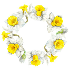 Botanical floral round wreath daffodils flowers. Round border. Floral frame isolated. Hand drawn illustration.