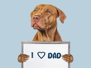 Fototapeta na wymiar Happy Father's Day. Cute brown puppy and an inscription with words of love for Dad. Closeup, indoors. Studio photo. Congratulations for family, loved ones, friends and colleagues. Pets care concept