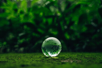 Obraz na płótnie Canvas Globeglass in green grass forest with sunlight. Environment, save the earth, earth day and conservation.