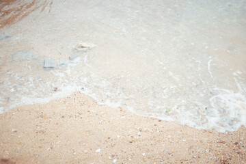 Sandy tropical beach in summer. Nature environment, peaceful bright zen.