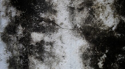 A close-up of a textured wall with no people in the background reveals intricate building features.