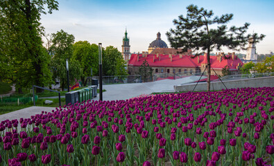 Memorial of Heavenly Hundred Heroes, Lviv , Ukraine