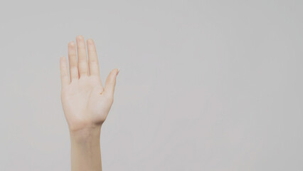 Hello gesture. Greeting sign. Female hand hand on light copy space background.