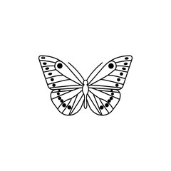 Butterfly vector icon. insect illustration sign. moth symbol.