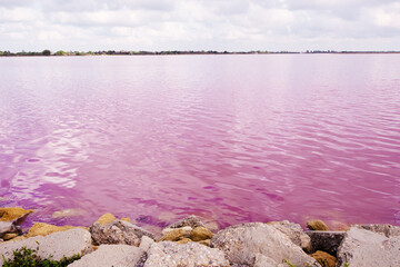Landscape of the Salins pink coloured salt marshes. The Saltworks of Aigues Mortes in The Camargue. Popular travel destination and tourist attraction in the South of France.