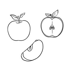 Apple Hand Drawn Line Sketch