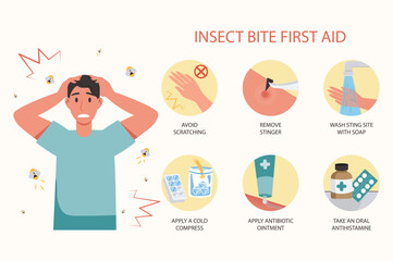 Insect bite first aid medical examination concept with people scene in the flat cartoon design. Instructions on how to provide first aid to a person who has suffered from insect bites. - obrazy, fototapety, plakaty