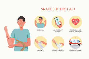 Snake bite first aid medical examination concept with people scene in the flat cartoon style. Instructions on how to save a person bitten by a poisonous snake. Vector illustration.