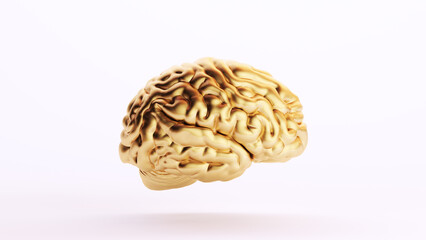 Gold Golden Brain Human Anatomy Mind Intelligence Medical Organ Art Wealth Side View White Background 3d illustration render digital rendering - 600679469