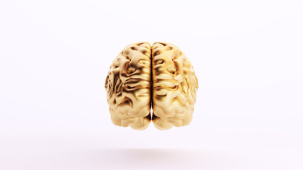 Gold Golden Brain Human Anatomy Mind Intelligence Medical Organ Art Wealth Front View White Background 3d illustration render digital rendering