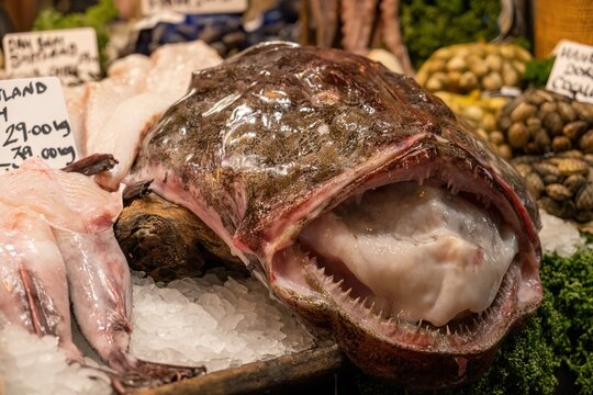 monkfish on the borough market