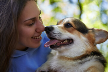 Portrait of happy dog owner playing with cute corgi. Cheerful young woman touching her Pembroke Welsh Corgi puppy nose