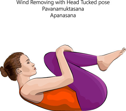 Young woman practicing yoga exercise, doing Wind Removing with Head Tucked pose. Pavanamuktasana. Apanasana. Supine and Forward Bend. Beginner. Vector illustration isolated on white background.