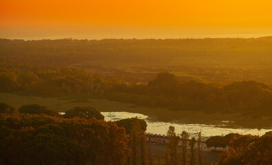 Sunrise over Costanera Sur Ecological Reserve in Buenos Aires. Landscape of a beautiful natural park in Argentina.
