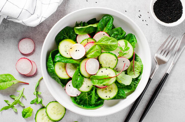 Fresh Salad with Radish, Cucumber and Lettuce on Bright Background, Healthy Vegetarian Food