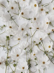Bright chamomile daisy flower bud and stems pattern on white background. Aesthetic summer flower texture background