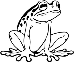 Black and white frog logo design, vector illustration of a froggy 